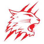 Swindon Wildcats 2